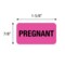 Nevs Label, Pregnant 7/8" x 1-5/8" Flr Pink w/Black VW-0021 - alternate 2